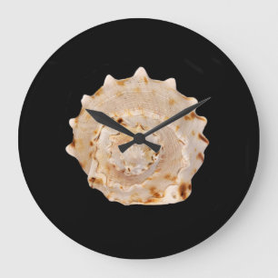 Conch Shell Wall Clock Grote Klok