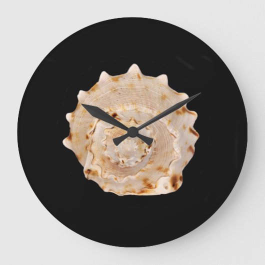 Conch Shell Wall Clock Grote Klok (Voorkant)