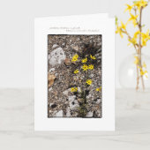 Conclusion de la carte de note de gentillesse (Fleur jaune)