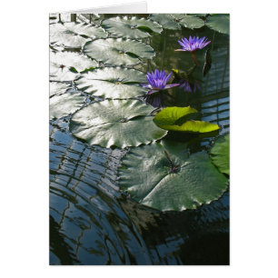 Conclusion de la carte de paix