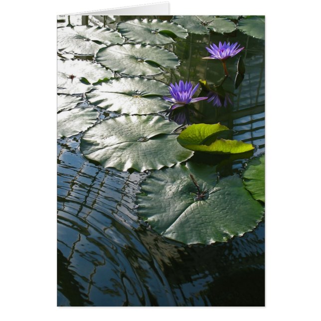 Conclusion de la carte de paix (Devant)