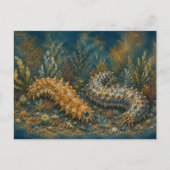 Concombre de mer aquarelle carte postale océan (Devant)