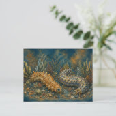 Concombre de mer aquarelle carte postale océan (Debout devant)