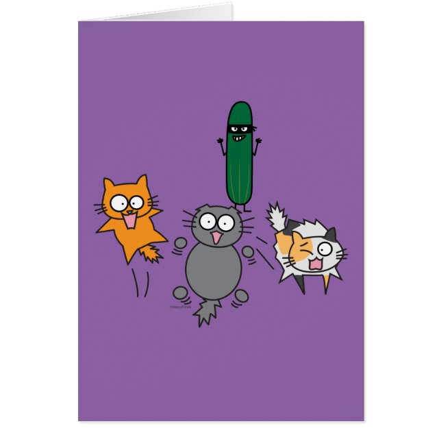 Concombre effrayant les chats - chat contre (Devant)