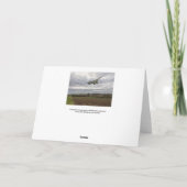 Concorde - de Kaart van de Groeten van de Looppas  (Achterkant)