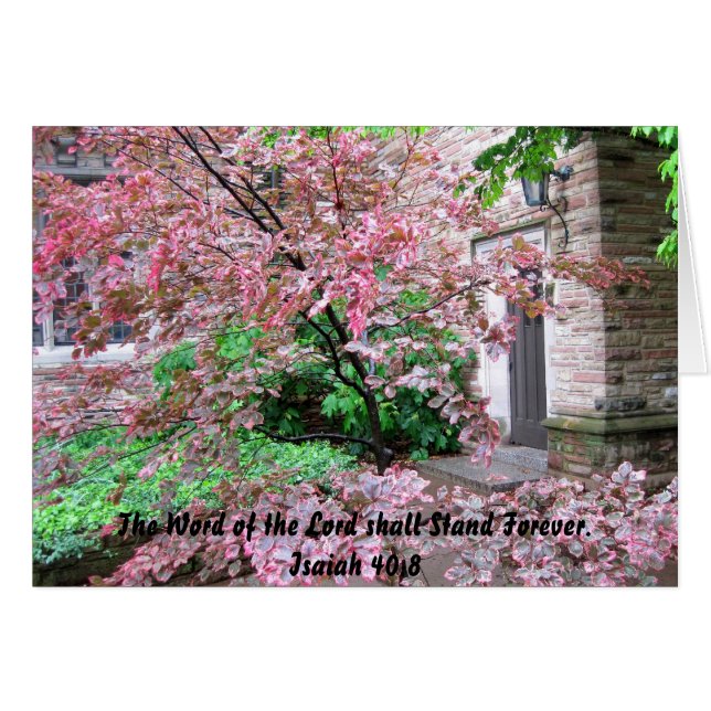 Concordia Seminarie - Het woord van de Heer (Voorkant Horizontaal)