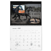 Concours frison de calendrier de cheval (Jan 2027)