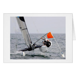 Concours voile Catamaran photo