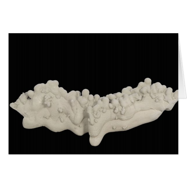 Concrétion d'argile (Devant horizontal)