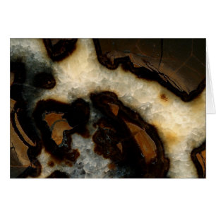 Concrétion de Septarian