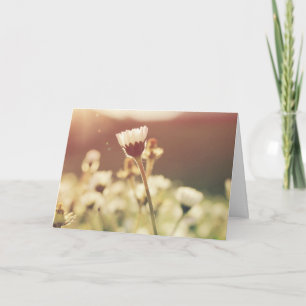 Condoleance rouw bloem in de zon kaart