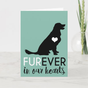 Condoleance voor huisdier Furever in ons hart Kaart