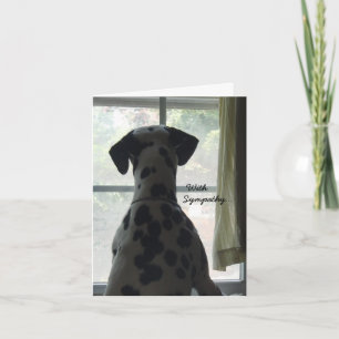 Condoleancekaart -- Verlies van hond Kaart