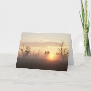 Condoleances / sympathiekaart kaart