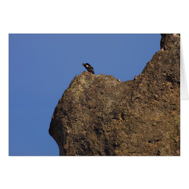 Condor #87 (Voorkant Horizontaal)