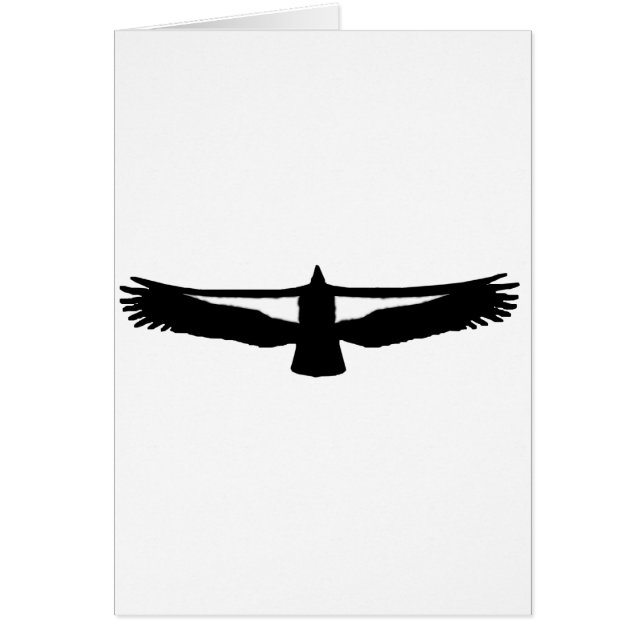 Condor de Californie (Devant)