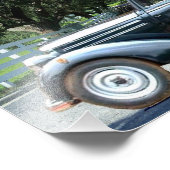 Conduite Miss Daisy Pacific Parrotlets Photo (Coin)