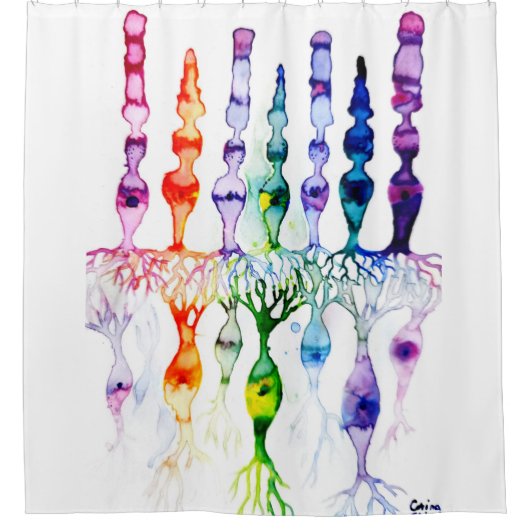 Cone-cellen en bipolair neuron van de retina douchegordijn (Voorkant)