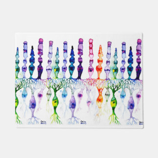 Cone-cellen en bipolaire neurond van het netvlies deurmat