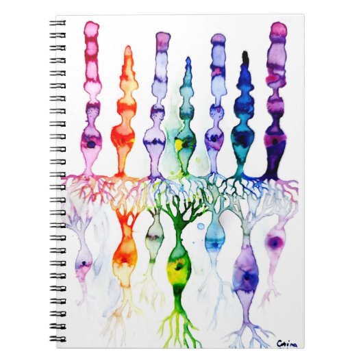 Cone-cellen en bipolaire neurond van het netvlies notitieboek (Voorkant)