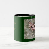 Cône de pin et tasse de gland (Centre)