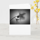 Cône de pin sur une branche – Noir, carte (Fleur jaune)