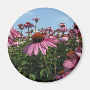 Cone Flowers Magnet Magneet