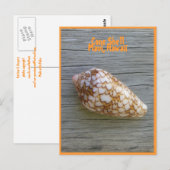 Cone Shell Briefkaart (Voorkant / Achterkant)