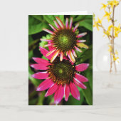 Conefloer, kaart (Gele Bloem)