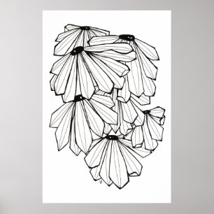 Conefloer Poster