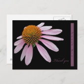 Coneflower bedankt briefkaart (Voorkant / Achterkant)