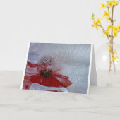 Coneflower in Ice, Kaart (Gele Bloem)