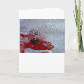 Coneflower in Ice, Kaart