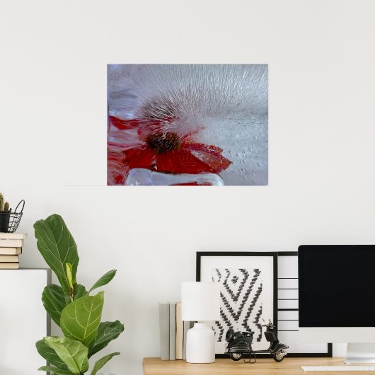 Coneflower in Ice, Poster (Thuiskantoor)