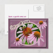Coneflower krijgt snel weer goed briefkaart (Voorkant / Achterkant)