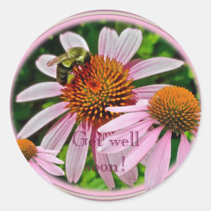 Coneflower krijgt snel weer goed ronde sticker