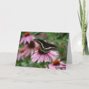 Coneflower met zwarte Swallowtail Butterfly. Kaart