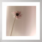 ConeFlower Poster (Voorkant)
