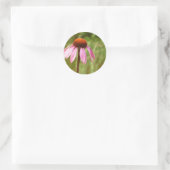 Coneflower Sticker (Tas)
