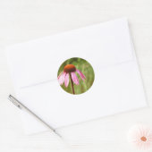 Coneflower Sticker (Envelop)
