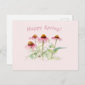 Coneflowers Briefkaart (Voorkant / Achterkant)