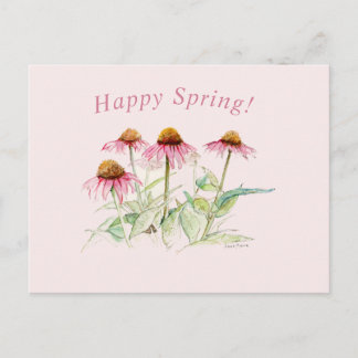 Coneflowers Briefkaart