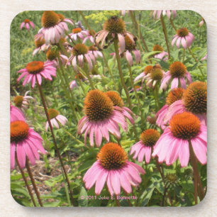 Coneflowers Cork Onderzetter