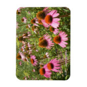 Coneflowers Flexi Magnet Magneet (Verticaal)