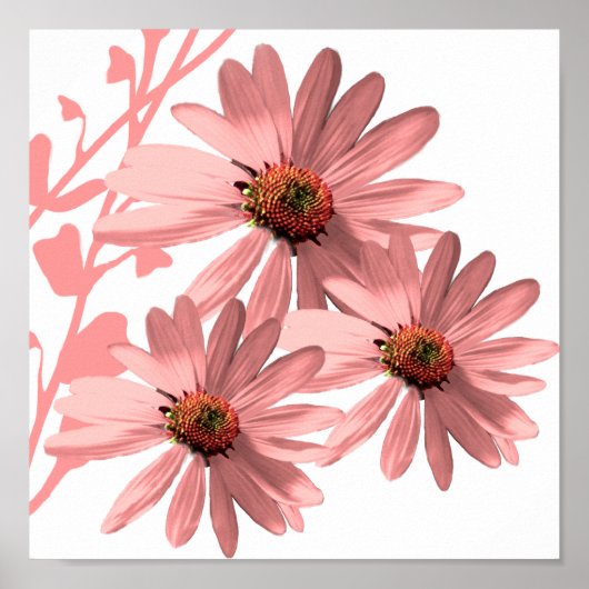 ConeFlowers Poster (Voorkant)