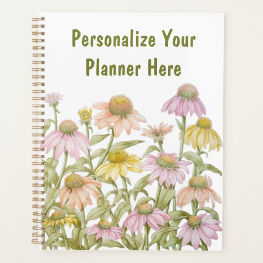 Coneflowers Watercolor (Devant)