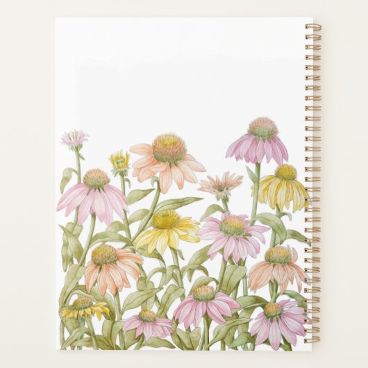 Coneflowers Watercolor (Dos)