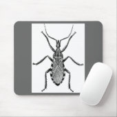 Conenose Bug - Muismat (Met muis)