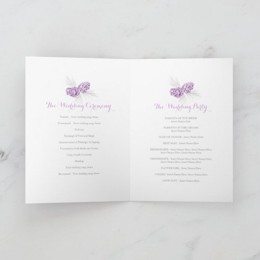 Cones violet gris hiver automne programmes de mari (Intérieur)