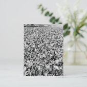 Coney Island Bright Beach Briefkaart (Staand voorkant)